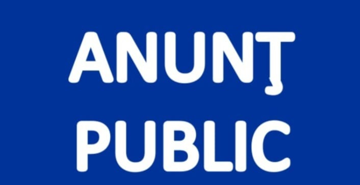 Raport de activitate Grigore Dumitru_2024